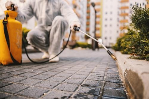 Beneficios de la Fumigación