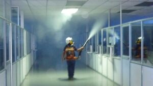 Diferencias entre Control de Plagas y Fumigación