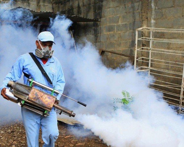 Fumigación de insectos en Lima